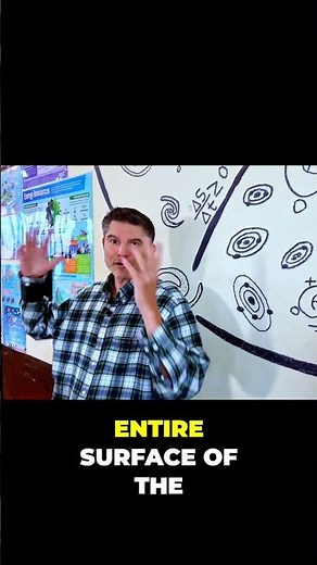 Simulating Primordial Soup: Birth of Life Explained! #shorts