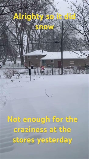 Minneapolis March “Blizzard” pt 2. So much for all prepping yesterday. #blizzard #minnesota weather