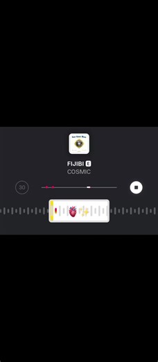 Cosmic Vibes from Fijibi: Fusion of Music and Culture