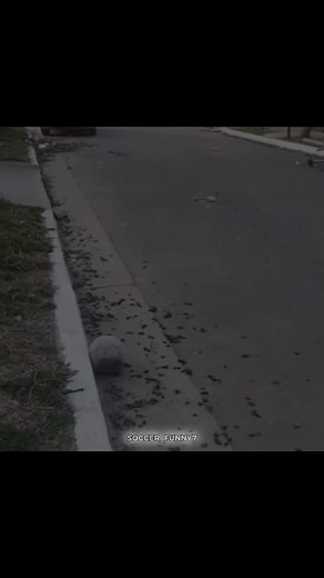 Top Soccer Skills and Funny Moments You Must See