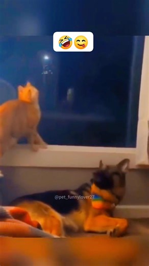 4.9K views · 74 reactions | Si les gusta el canal sígueme y comparte con amigos          #cosas cómicas # | cosas cómicas | Facebook