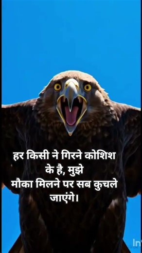 viral # sortreel# actitued 🦅🥷⚔️