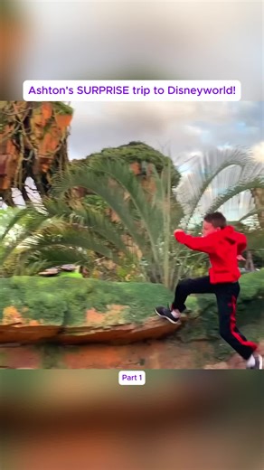 Part 1 Ashton's SURPRISE trip to Disneyworld! #TheNinjaFam #2025 #fyp #viral #viral_videos #Ashton #AshtonMyler #Trapped #challenge #kids