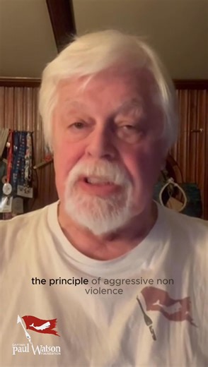 5.6K reactions · 881 shares |  For Captain Paul Watson's 75th...