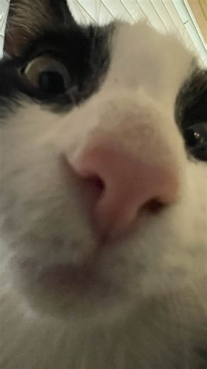 theme aka meme on Instagram: "In Gen Z slang, "tweaking" means acting erratically, paranoid, overly anxious, or freaking out, often suggesting someone is delusional or overreacting, stemming from the term for stimulant drug effects but now used more broadly for intense emotional or irrational behavior, like saying "Nah, he tweakin'" when someone's being wild or unbelievable. It can also refer to the original meaning of making small adjustments, but the slang usage for acting strange is very comm