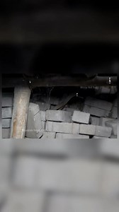 Codra snake rescue mirza call 🤙 093480 94492 | Mirza Md Arife