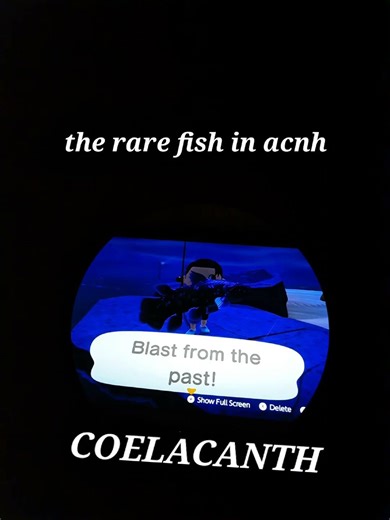 #ACNH Rare fish!