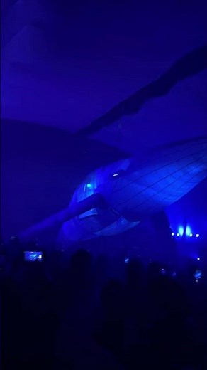 Fuerza Bruta - Buenos Aires