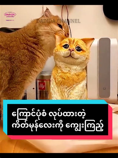 ကြောင်ပုံစံ ကိတ်မုန်လေးနှင့် ဆောင်းပါးများ