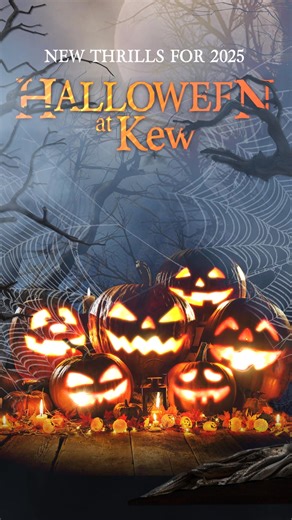 🎃 Spooky season is just around the corner – and Halloween at Kew is back for 2025! 2024 sold out fast… don’t miss London’s spookiest after-dark trail. Plan ahead – book early! | RG Live