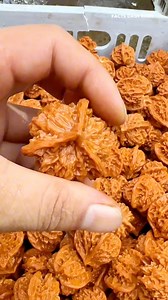 1.6M views · 10K reactions | How Walnuts Are Prepared #dryfruits #dryfruit #dryfruitsandnuts #walnut #walnutwood #walnutfurniture #dryfruitmilkshake #fruits #fruit #fruitlover | Facts Dash Bash | Facebook