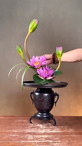 Water lilies awaken amidst the clouds, dew drops reflecting the sunlight from their petals…! #canbox #teachesflowerarrangement #dmentflower #teachesflower #flower #flowerlovers | D’men Flowers