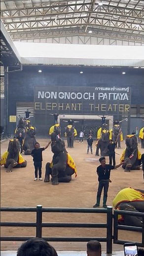 The incredible Elephant Show at Nong Nooch Tropical Garden in Pattaya