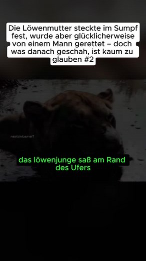 surry.fan_1234 (@surry.fan_1234)’s videos with original sound - surry.fan_1234