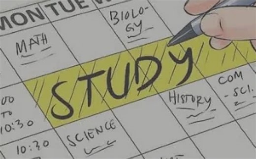 【美杜莎sub】Next爱因斯坦🧮通过考试📝世界上从未有过像你这样的天才📖