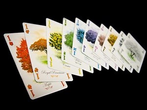 Arboretum - English - Board Game Review - Setup and Play