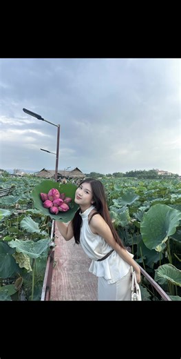 Discover the Beauty of May Myo Flowers