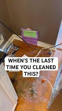 When’s the Last Time You Cleaned THIS? #fridgecleaning #fridgeorganization