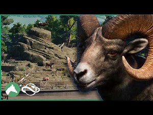 Building a BIGHORN SHEEP Habitat in the Elm Hill City Zoo! | Planet Zoo