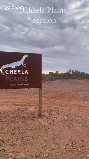Cheela Plains Station. #pilbara #stationstay #cheelaplainsstation