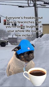 Hypocrisy at its finest! 🤣 | Hector Garcia