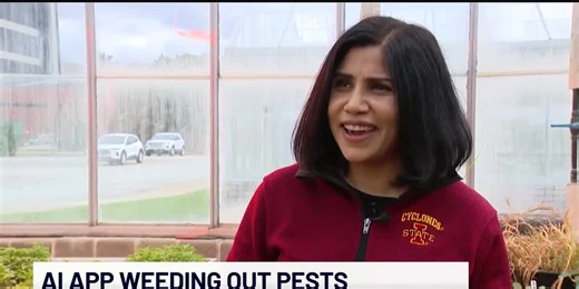 New AI app to help weed out pests