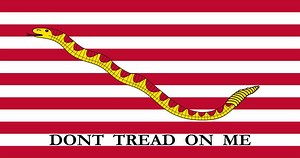 First Navy Jack - Alchetron, The Free Social Encyclopedia