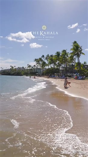 Welcome to The Kahala Hotel & Resort, where oceanfront beauty, timeless luxury, and the spirit of aloha come together. From serene beach mornings to exceptional dining and unforgettable sunsets, every moment is crafted for relaxation and connection in Honolulu. Discover your escape in paradise. | The Kahala Hotel & Resort