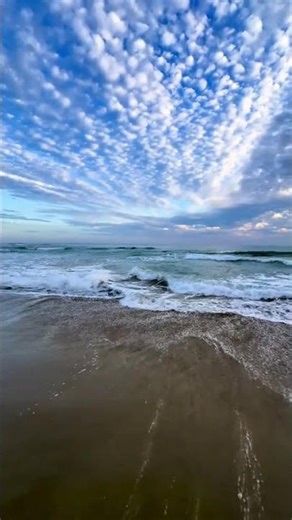 🌊 This is your sign—pause the rush, watch the waves, feel the sky Reach boost #trending #travelshort