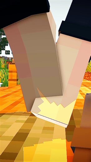 A ROMANTIC SUNSET |Minecraft animation|