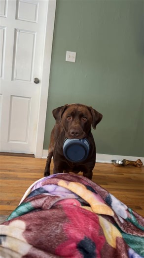 Food Tasting Review: Meals Enjoyed Outdoors