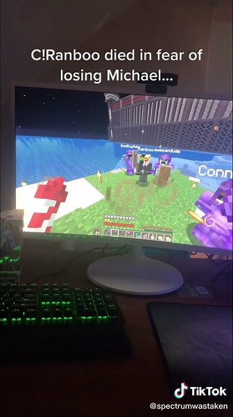 Ghostboo is a pretty cool guy though. #ranboo #DreamSMP #MCYT #technoblade #dream #dsmp