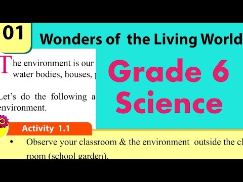 Grade 6 Science Lesson 1