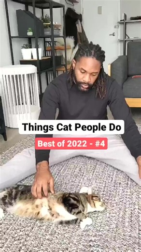 47K views · 2.6K reactions | Bambi showing us how all cats live  Caption: We all have special relationships with our cats but here's a few things most cat people do! What other things do cat people do that I should add to my next video? | Fostering kittens | Facebook