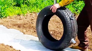 12M views · 24K reactions | Grow your food with easy gardening hacks : | Wood Mood | Facebook