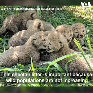 33K views · 530 reactions | First-time mother, Erin, gave birth to...