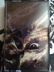 Skin Crime - Lot No. 249