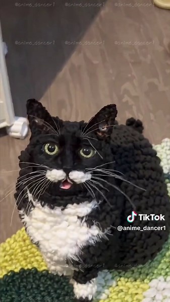 AIで人気な猫動画を毛糸にしてみた結果