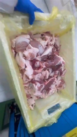 UNICOMP UNX6030 Meat Foreign Objects X-ray Detection #unicomp #machine #xray #foodinspection