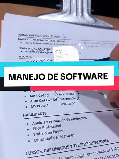 Revisando CV de Ingeniero Civil para Oportunidades Laborales