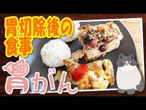 【胃がん:胃切除後の食事】手術後、これ食べて大丈夫？術後3ヶ月のリアル食事