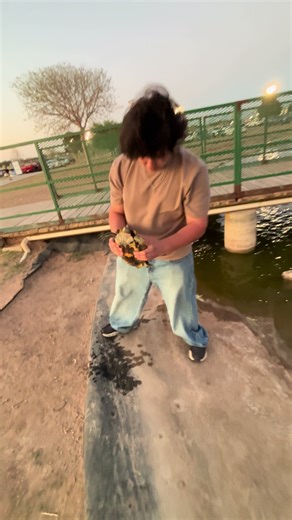 Man Rescues Suffering Turtle
