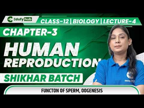 Class 12 Biology Chapter 3 Human Reproduction Lecture 4 Structure of Sperm and Oogenesis 🧬🔥