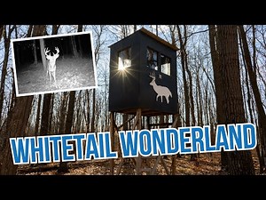 40 Acres of Prime Hunting Land, 5 Deer Stands – Pine River MN