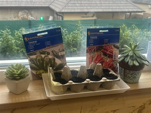 Eco-Friendly Egg Carton Seed Starter Tray / Drip Pan (Cheap & Simple!) - Pexlynt | Nexprint: Free 3D Model Downloads