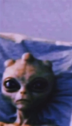 Varginha UFO Crash: New Evidence of Alien Presence