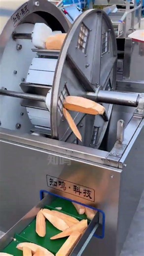 連續進料不卡頓，土豆、紅薯、蘿蔔全自動出條，粗細均勻無碎渣！ #推條機 #切菜機 #薯條機 #紅薯條 #食品機械設備