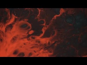 Blood Stock Video