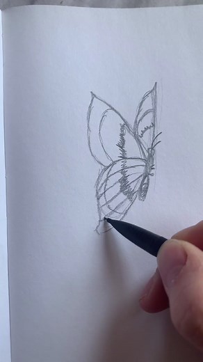 How to Draw Fairy Wings | Step-by-Step Tutorial