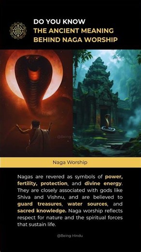 Why Do Hindus Worship Snakes | Ancient Meaning #snakeworship #nagapanchami #hinduism